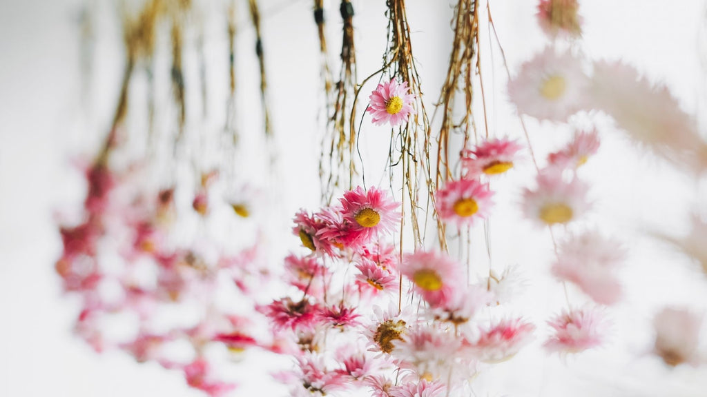 dried flowers hanging